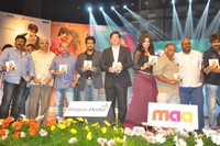 DCM Music Launch Photos